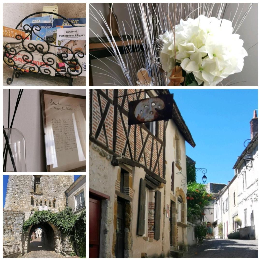 L'Echappee En Sologne Villa Mennetou-sur-Cher Екстериор снимка
